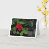 Single Rote Rose und grüne Blätter Karte (Gelbe Blume)