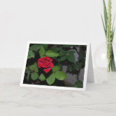 Single Rote Rose und grüne Blätter Karte (Vorderseite)