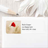 Single Roter Mohn auf einem grasbewachsenen Feld (Insitu)