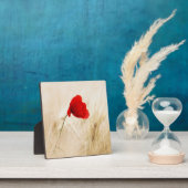 Single Roter Mohn auf einem grasbewachsenen Feld Fotoplatte (InSitu)