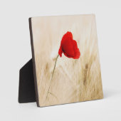 Single Roter Mohn auf einem grasbewachsenen Feld Fotoplatte (Vorderseite)