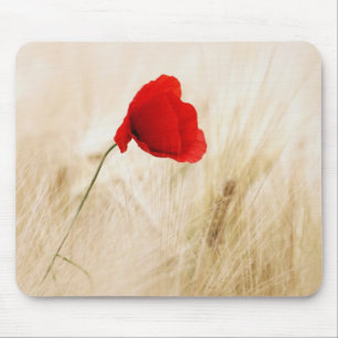 Single Roter Mohn auf einem grasbewachsenen Feld Mousepad