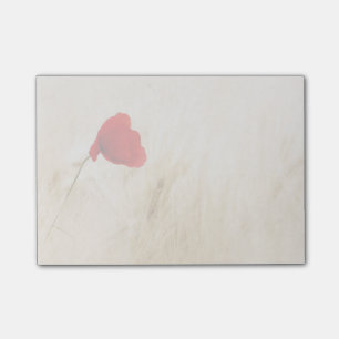 Single Roter Mohn auf einem grasbewachsenen Feld Post-it Klebezettel