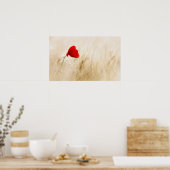 Single Roter Mohn auf einem grasbewachsenen Feld Poster (Küche)