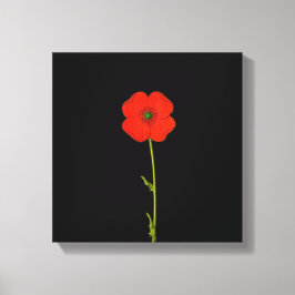 Single Roter Mohn Blume auf der Leinwand
