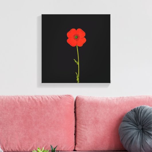 Single Roter Mohn Blume auf der Leinwand (Insitu (Wohnzimmer))