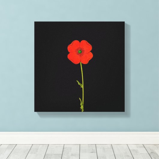 Single Roter Mohn Blume auf der Leinwand (Insitu (Holzboden))