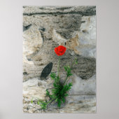 Single Round Shadow Poster (Vorne)