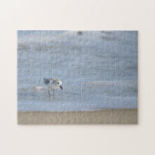 Single Sandpiper walking on beach Puzzle (Horizontal)
