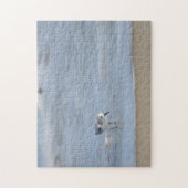 Single Sandpiper walking on beach Puzzle (Vertikal)