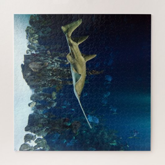 Single Schwertfisch Puzzle (Horizontal)