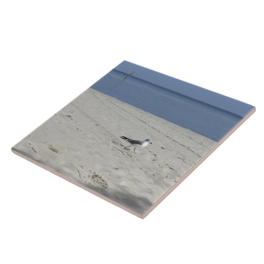 Single-Seemöwe Fliese (Seite)