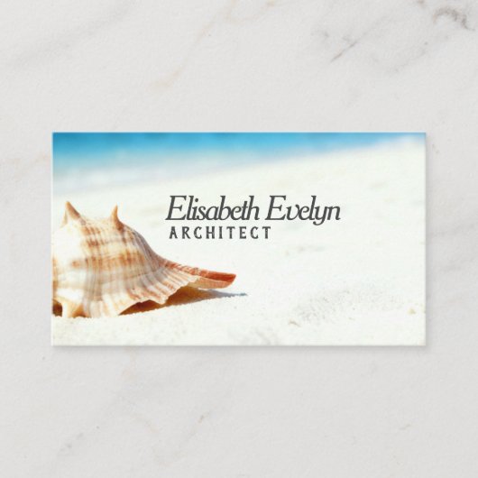 Single Shell on Sun-Kissed Sands Visitenkarte (Vorderseite)