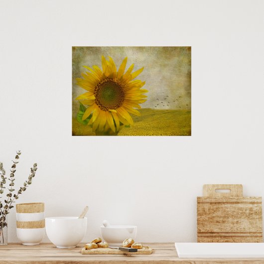 Single Sonnenblume auf Sonnenblumenweide Poster (Küche)