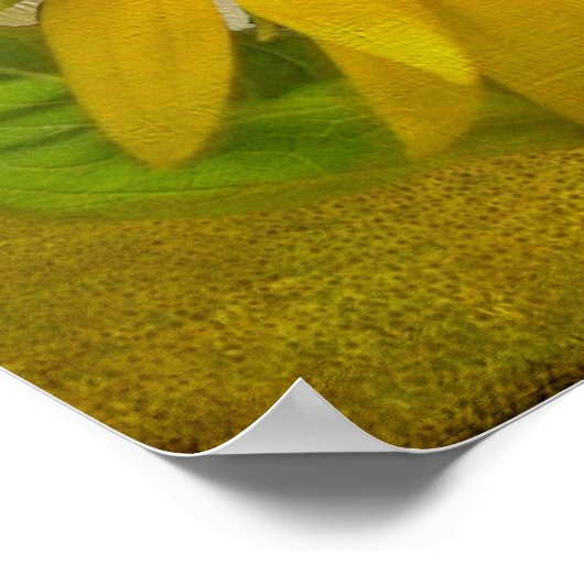 Single Sonnenblume auf Sonnenblumenweide Poster (Ecke)