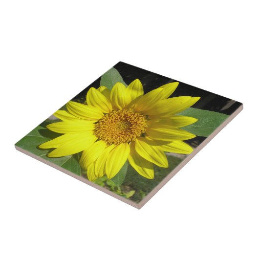 Single Sonnenblume Fliese (Seite)
