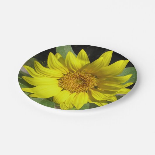Single Sonnenblume Pappteller (Schrägansicht)