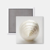 Single Spiralseashell Magnet (Vorderseite/Rückseite)