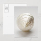 Single Spiralseashell Postkarte (Vorne/Hinten)