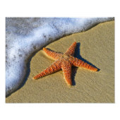 Single Starfish am Strand Fotodruck (Vorne)