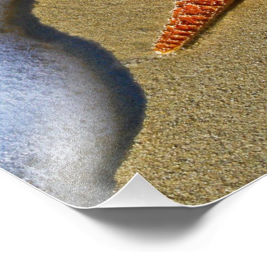 Single Starfish am Strand Fotodruck (Ecke)