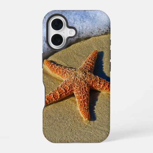 Single Starfish am Strand iPhone 16 Hülle (Rückseite)