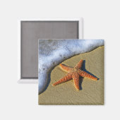 Single Starfish am Strand Magnet (Vorderseite/Rückseite)