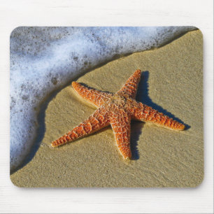 Single Starfish am Strand Mousepad