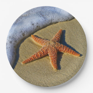 Single Starfish am Strand Pappteller