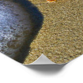 Single Starfish am Strand Poster (Ecke)