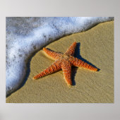 Single Starfish am Strand Poster (Vorne)