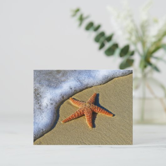 Single Starfish am Strand Postkarte (Stehend Vorderseite)