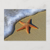 Single Starfish am Strand Postkarte (Vorderseite)
