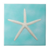 Single Starfish auf Aqua Blue Fliese (Vorderseite)