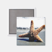 Single Starfish Washed Ashore Magnet (Vorderseite/Rückseite)