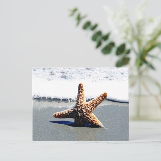 Single Starfish Washed Ashore Postkarte (Stehend Vorderseite)