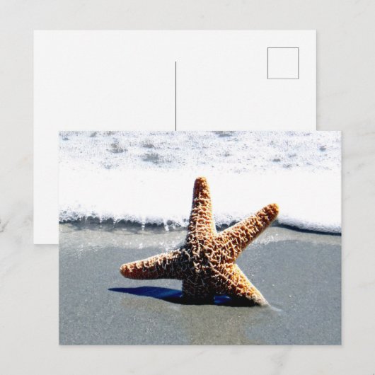 Single Starfish Washed Ashore Postkarte (Vorne/Hinten)