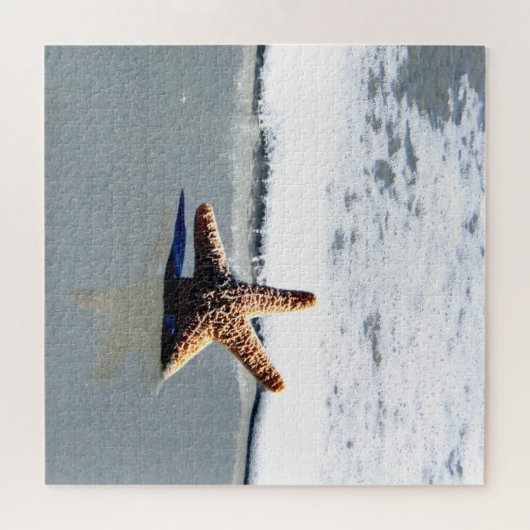 Single Starfish Washed Ashore Puzzle (Horizontal)