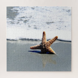 Single Starfish Washed Ashore Puzzle