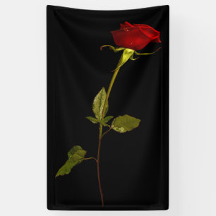 Single Stem Rose Banner