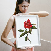 Single Stem Rote Rose Poster
