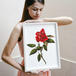Single Stem Rote Rose Poster