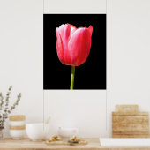 Single Stem Tulip Gemälde Poster (Küche)