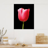 Single Stem Tulip Gemälde Poster (Küche)