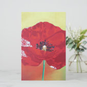 Single Steppe Mohn auf rot-grün und orange Hinterg Briefpapier (Stehend Vorderseite)