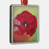 Single Steppe Mohn auf rot-grün und orange Hinterg Silbernes Ornament (Rechts)