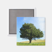 Single Tree Magnet (Vorderseite/Rückseite)
