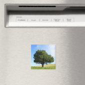 Single Tree Magnet (In Situ (Geschirrspüler))