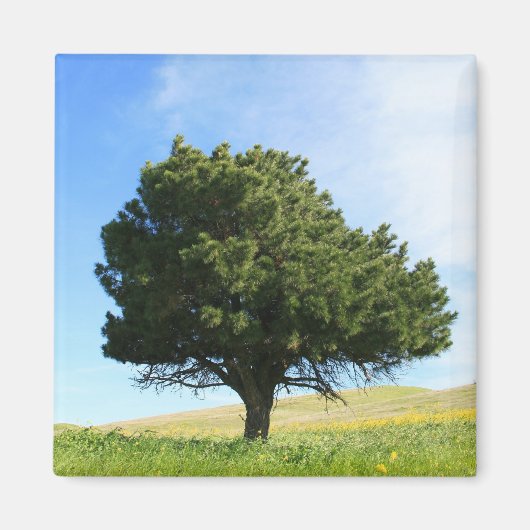 Single Tree Magnet (Vorne)