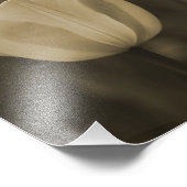 Single Tulip Blumenfotografie Druck Sepiaton (Ecke)